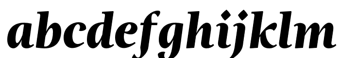 Magneta Black Italic