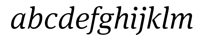 Meta Serif Pro Light Italic