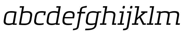 Metronic Slab Pro Light italic