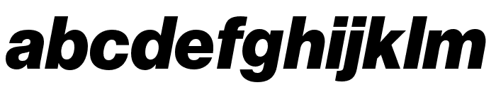 Neue Haas Grotesk Display Pro 96 Black Italic