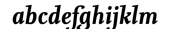 Nexus Serif Pro Bold Italic