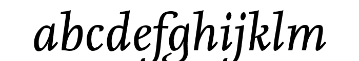 Nexus Serif Pro Italic