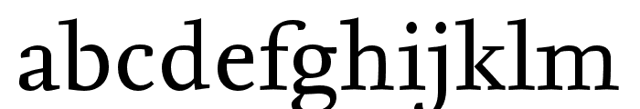 Nexus Serif Pro Regular