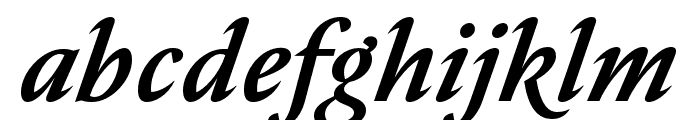 Nocturne Serif Medium Italic