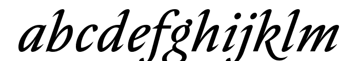 Nocturne Serif Regular Italic