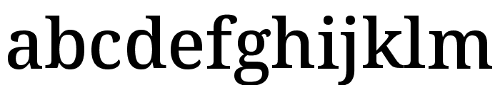 Noto Serif ExtraCondensed Medium