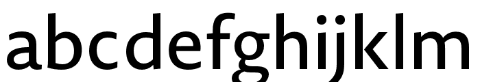 Novel Sans Pro XCmp Medium