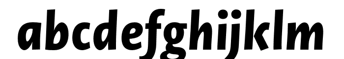 Novel Sans Pro XCmp XBold It