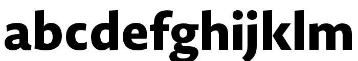 Novel Sans Pro XCmp XBold