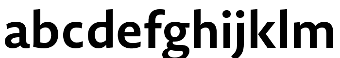 Novel Sans Pro XCnd Bold