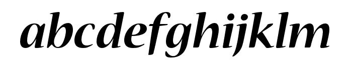 Nueva Std Bold Extended Italic