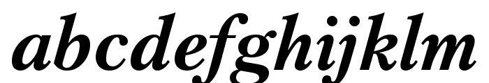 Petersburg Bold Italic