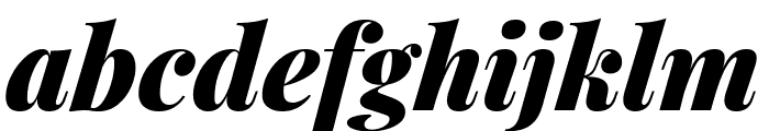 Playfair Display Black Italic
