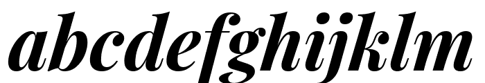Playfair Display Bold Italic