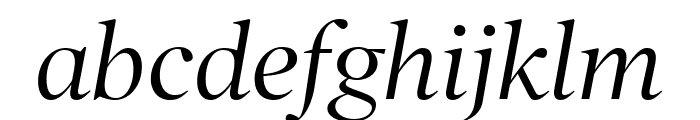 PoynterOSDisp Italic