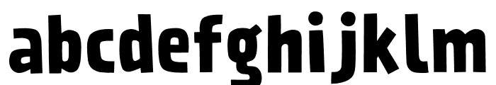 prater serif bold font free download