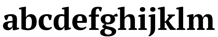 PT Serif Bold