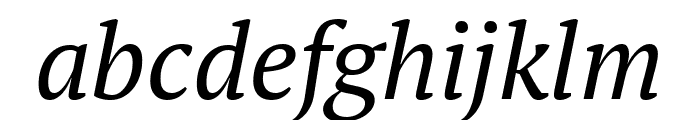 PT Serif Italic