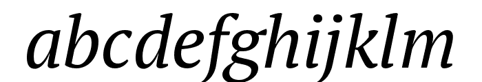PT Serif Pro Italic