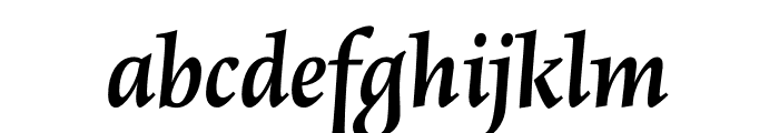 Rialto Piccolo dF Bold Italic