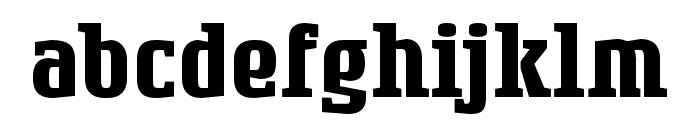RogueSerif Bold