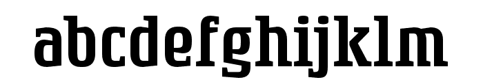 RogueSerif Medium