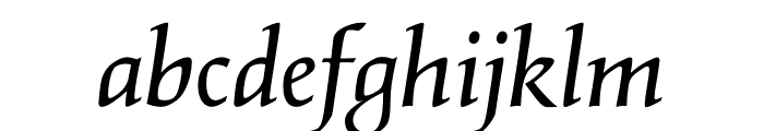 Salden Italic