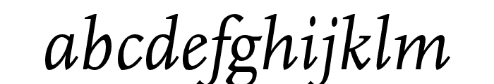 Scala Pro Italic