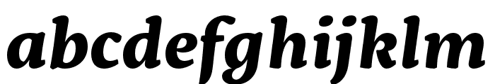 Servus Slab Bold Italic