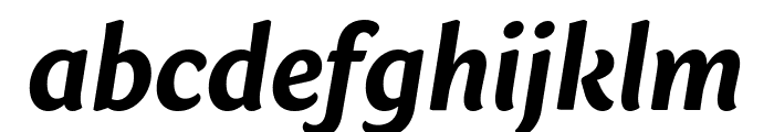 Sharik Sans Bold Italic