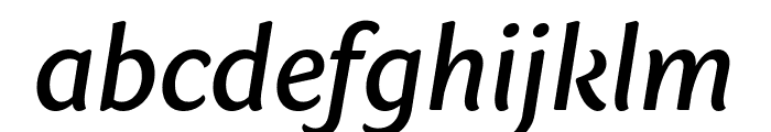 Sharik Sans Medium Italic