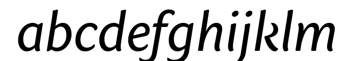 Sharik Sans Regular Italic