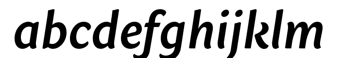 Sharik Sans SemiBold Italic