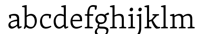 Skolar Latin Italic