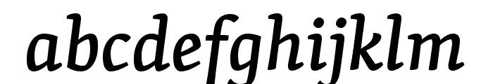 Skolar Latin Medium Italic