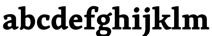 Skolar Bold Font