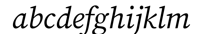 Source Serif Pro Italic