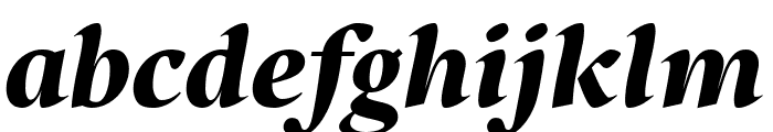 Starling Black Italic