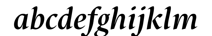 Starling Bold Italic