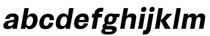 Synthese Bold Oblique