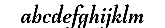 Tejuela Bold Italic