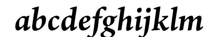 Ten Oldstyle Bold Italic