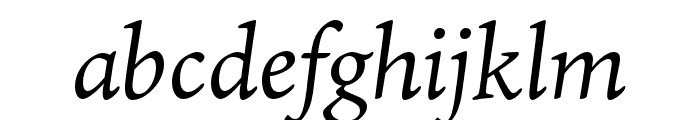 Ten Oldstyle Italic