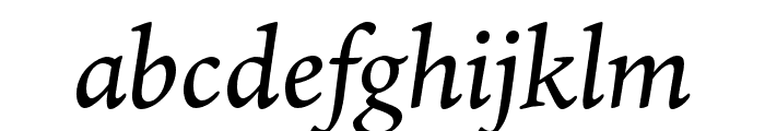 Ten Oldstyle Medium Italic