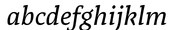 Tzimmes Medium Italic