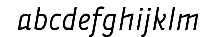 Vidange Pro LightItalic
