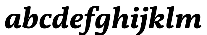 Vollkorn Bold Italic