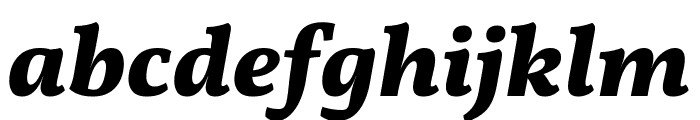 Vollkorn ExtraBold Italic