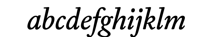 WilliamsCaslonText Bold Italic