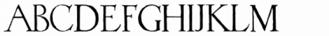 1523 Holbein